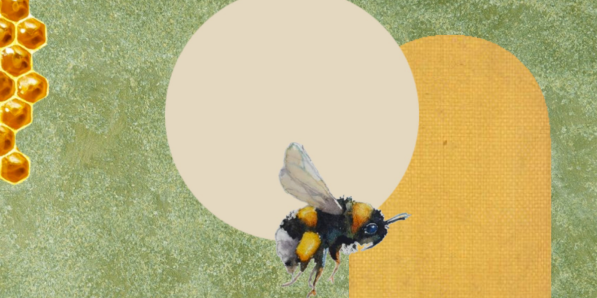 Tyler the creator, bee, HD phone wallpaper